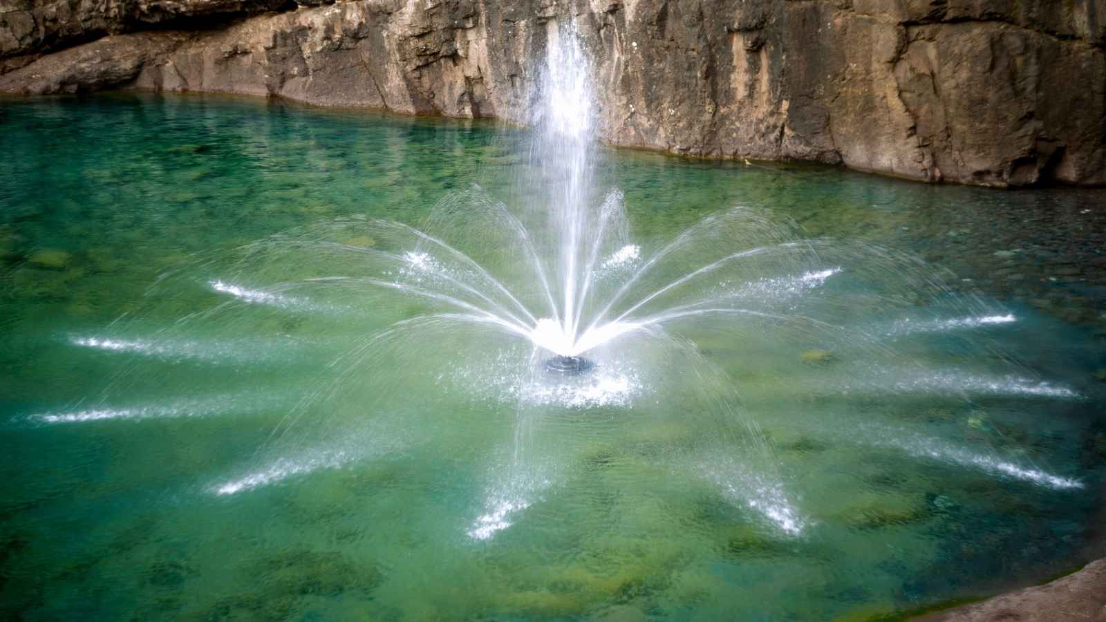 Water bodies and aquatic systems